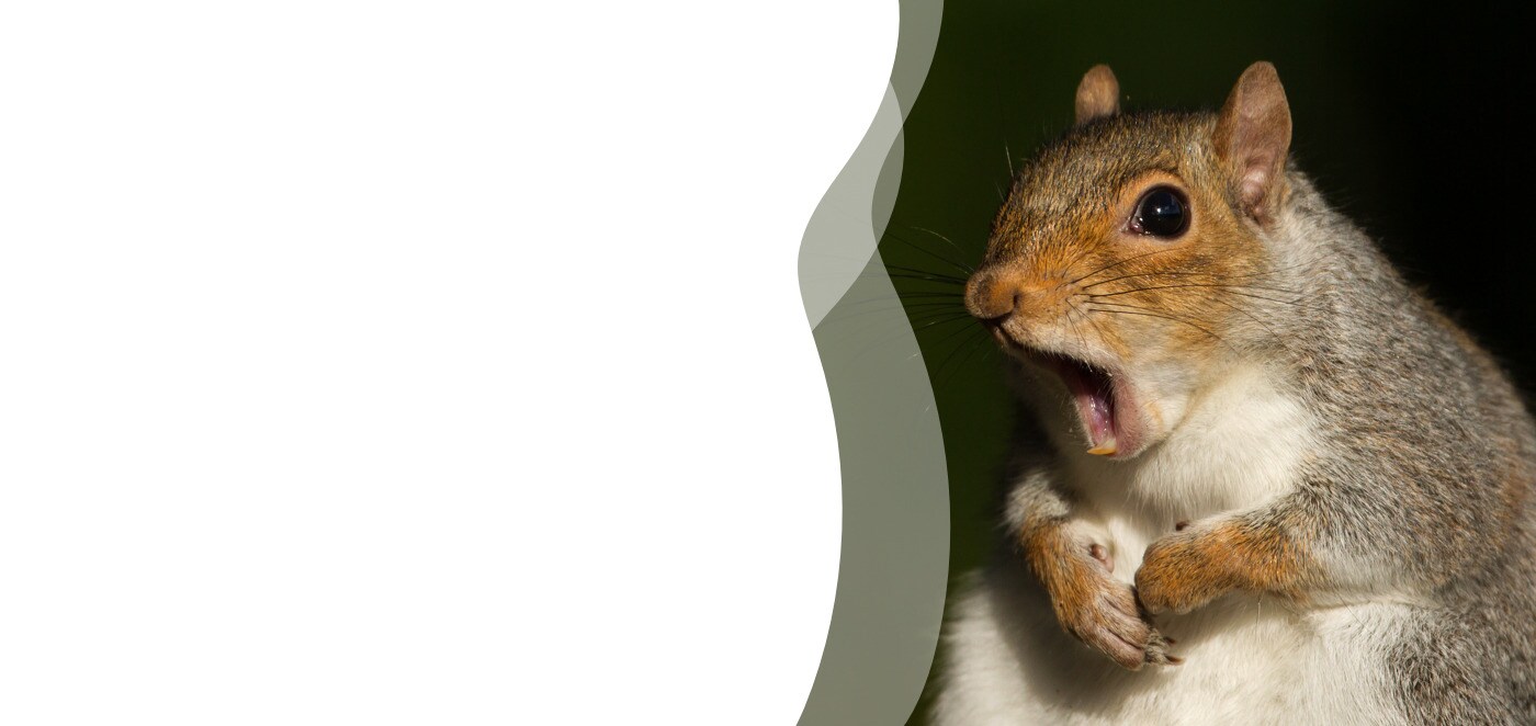 Ferienhaus Zeekracht, Domburg, Firma DomburgSchelpweg Herr Marcel